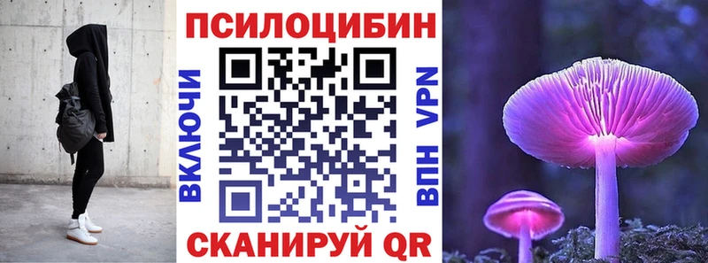 shop как зайти  Хасавюрт  Псилоцибиновые грибы Psilocybe  что такое  